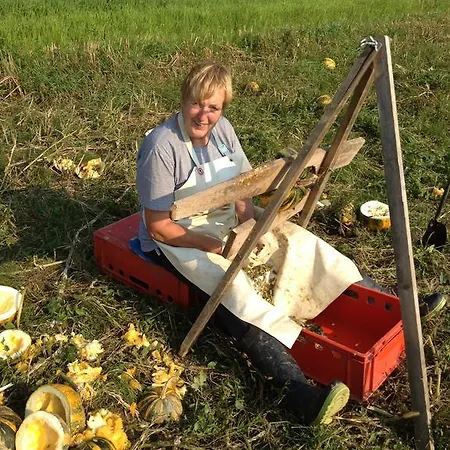 Apartment Gästeapartement Schlossblick *