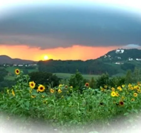 Gästeapartement Schlossblick Kapfenstein