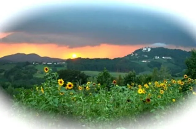 施洛斯布里克公寓 卡芬斯蒂恩