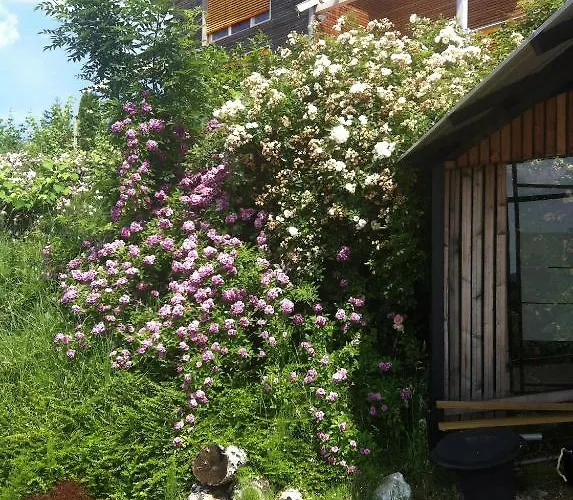 施洛斯布里克公寓 卡芬斯蒂恩